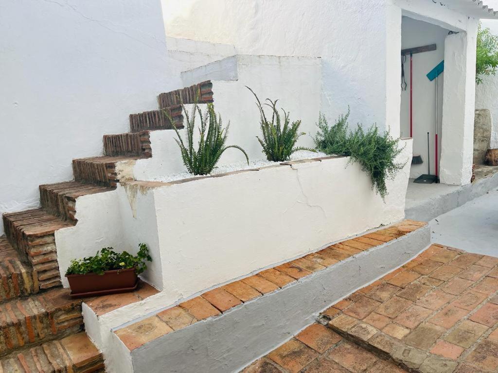 Casa Rural Dona Catalina Jimena De La Frontera Eksteriør bilde
